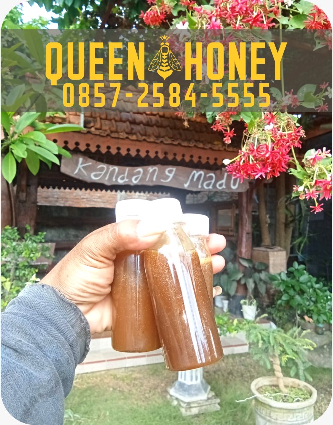 jual madu queen honey