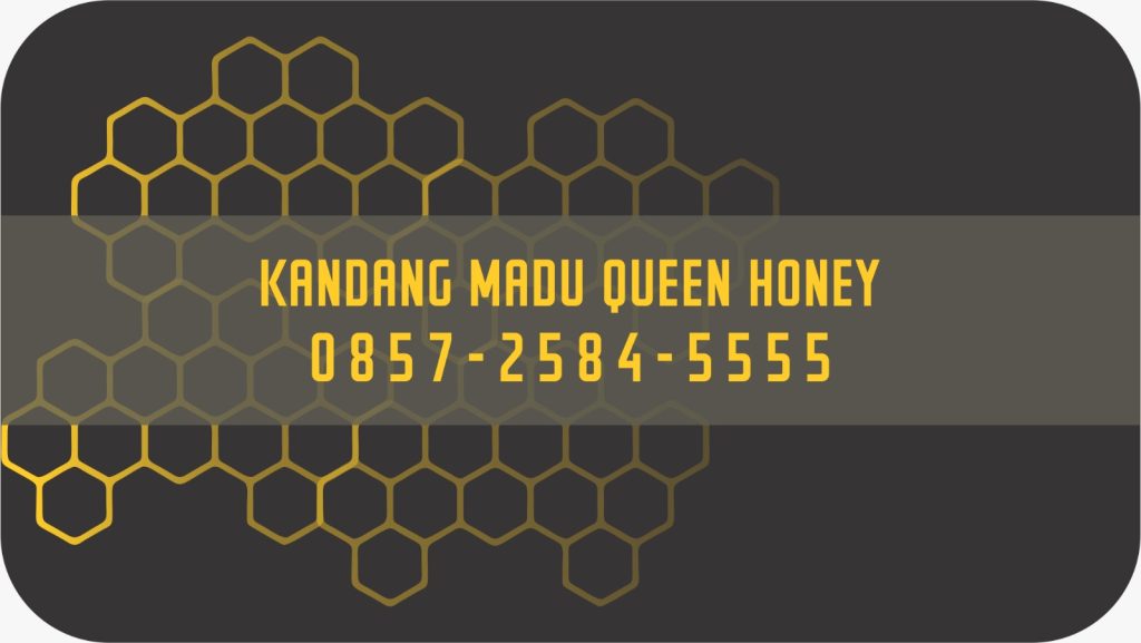 jual madu kandang madu