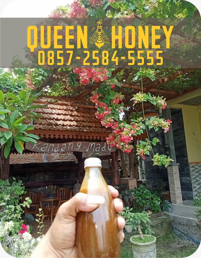 jual madu murni