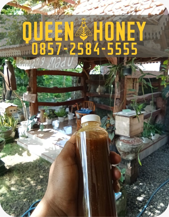 jual madu asli