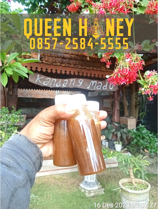 madu asli
